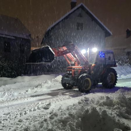 Apartmaji Mezan Lägenhet Bled Exteriör bild